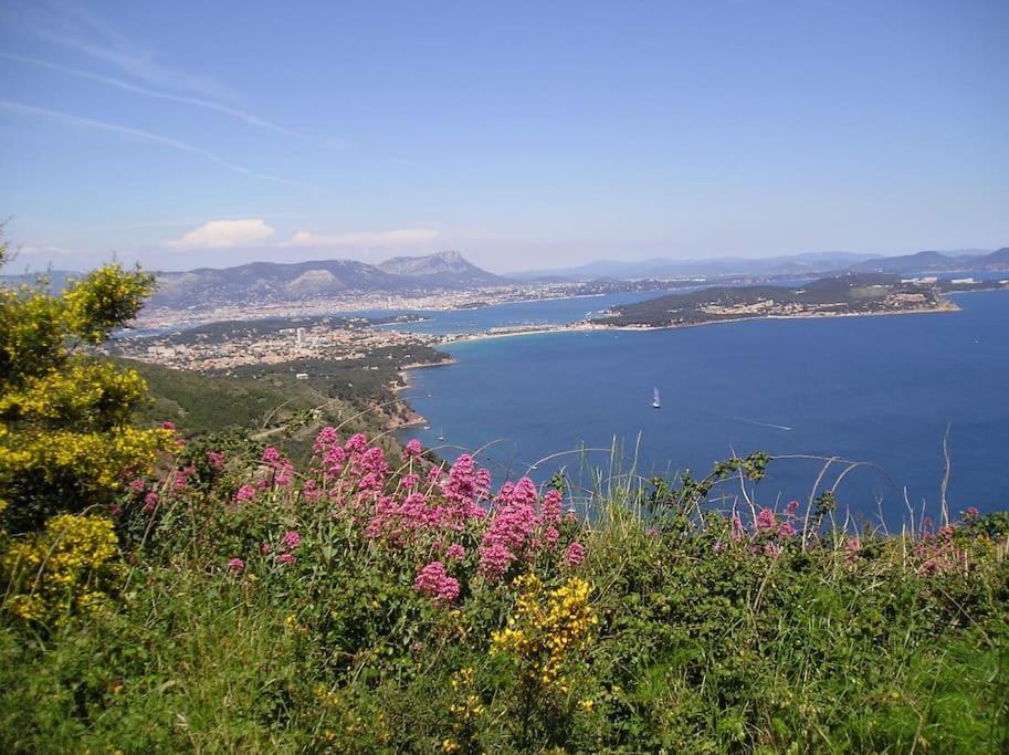 Villa De Charme A 5 Mn Plage La Seyne-sur-Mer Kültér fotó